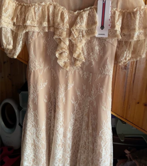 全新带吊牌的肉粉色蕾丝连衣裙，小码，胸围8...