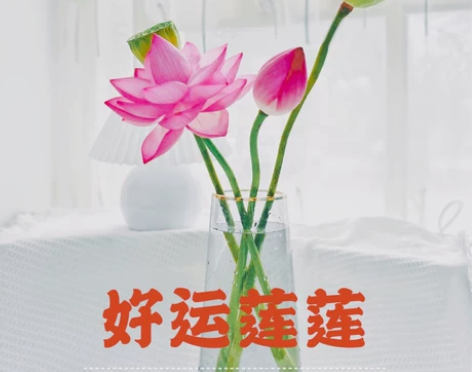 申论辅导 一对一辅导申论 本人长期担任机构...