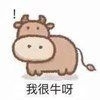 代拍 代抢  大麦秀动 淘宝