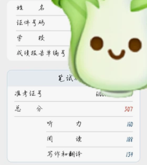 英语四六级听说读写全项目辅导 个人经历：高...