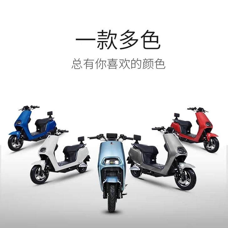 全新国标电动车绿洲  五羊  巨龙配60V...