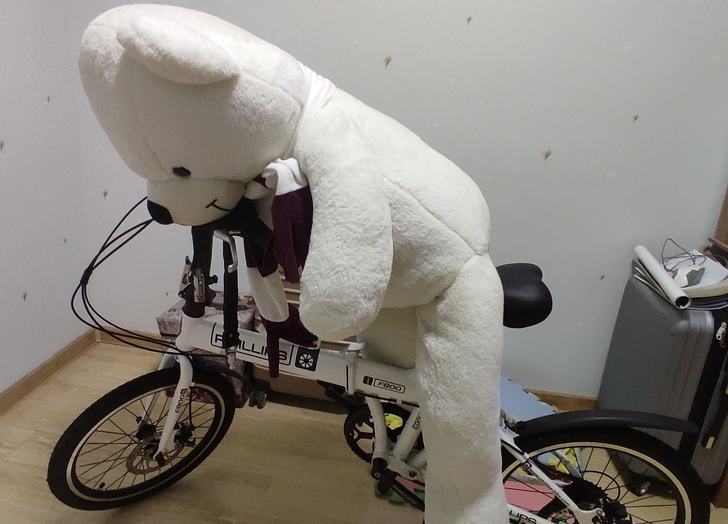 菲利普折叠自行车