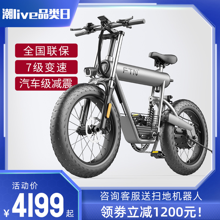 FTN 电动自行车