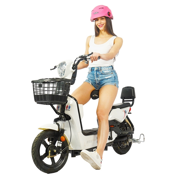 全新小电车报价出售