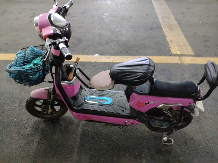 电动车,电池48v,送挡风被,550元,不...