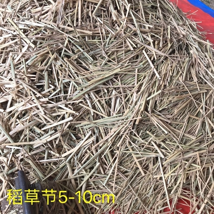 墙体装饰稻草6cm,60斤
