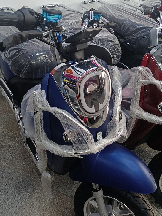 五羊品牌电动车大优惠,双碟刹带显示屏48#...