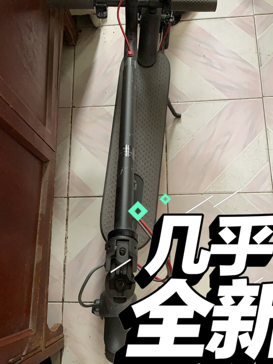 踏板电动车,京东购入,在家上灰,一次电也没...