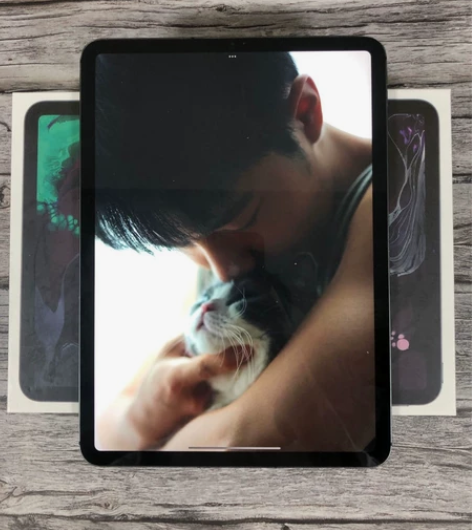 iPad Air4代 (2020款) ...