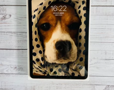 2020款 iPad  Air4代 10....
