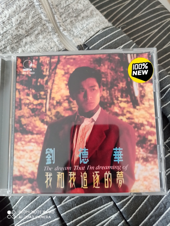 刘德华 我和我追逐的梦 饭制版 ...