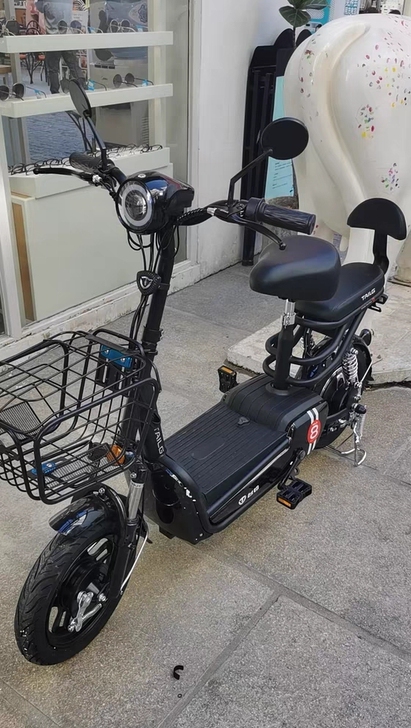 台铃电动车48v