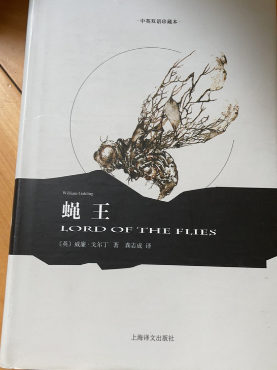 蝇王国外书刊小说