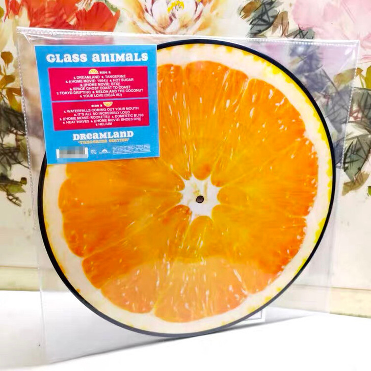 现货 Glass Animals Drea...