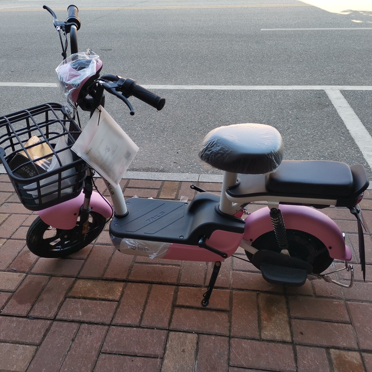台铃新款电动车小彩豆