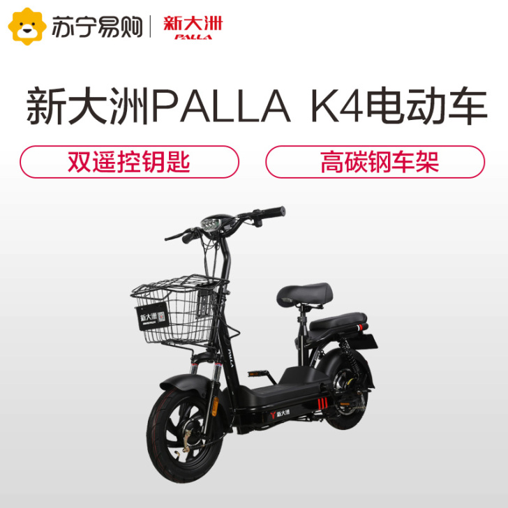 palla 电动自行车 全新只骑过两三次 ...