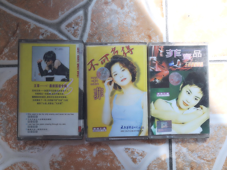 华语音乐女歌手 王菲，梁咏琪，刘若英，陈慧...