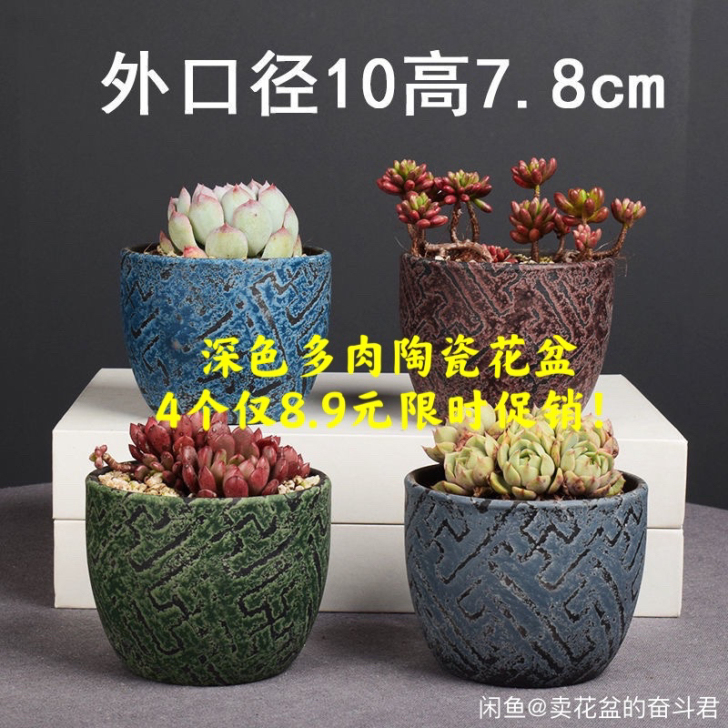 4个爆款深色多肉陶瓷花盆包邮包损限时冲量促...