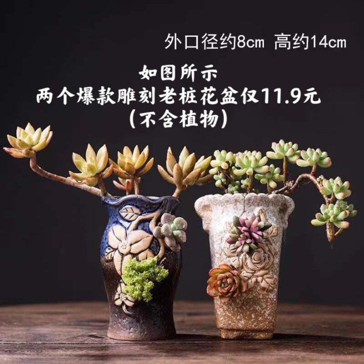 2个11.9爆款多肉花盆老桩包邮特价清仓创...