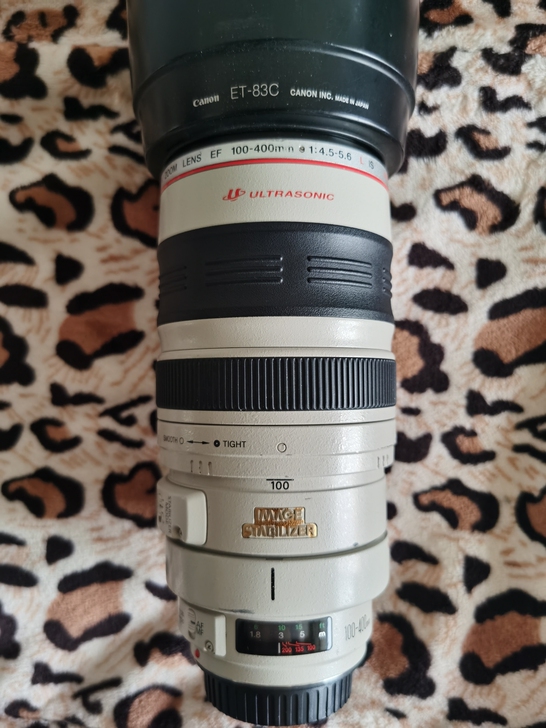 佳能100-400