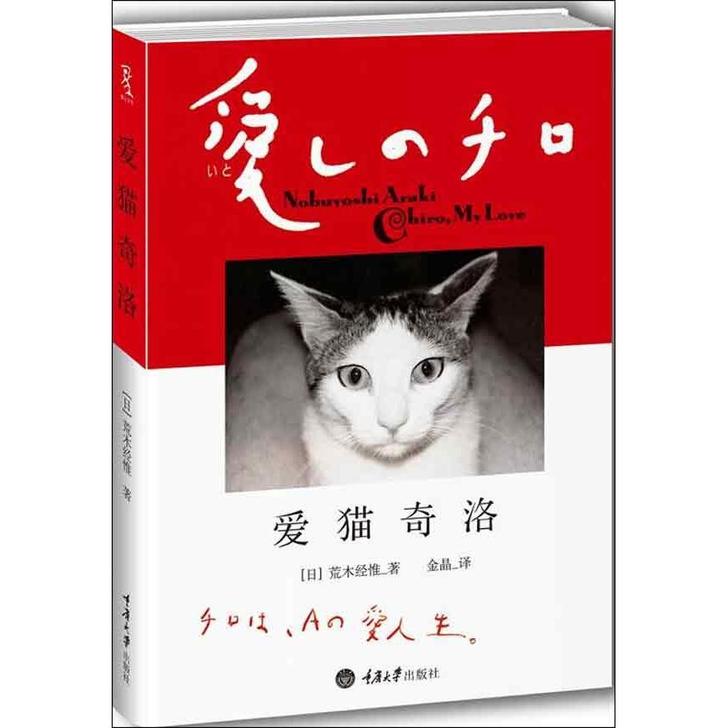 【双11全球狂欢节】爱猫奇洛 文学 散文随...