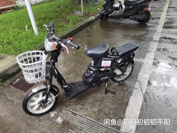 48v电动车；