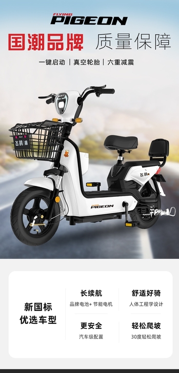 电动车电瓶车新国标3C认证可上牌全新飞歌老...