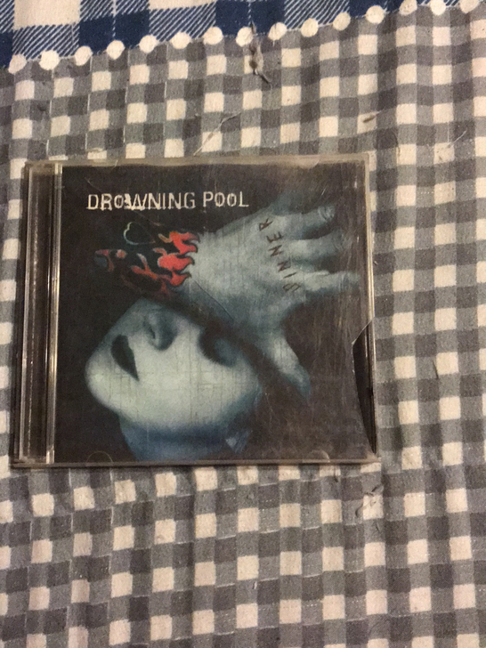 新金属DROWNING POOL sinn...