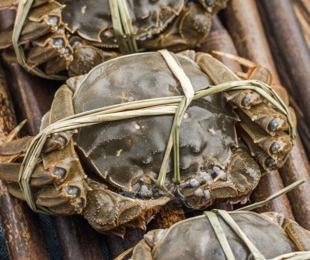 【阳澄湖大闸蟹49元16只包邮】产地 直达...