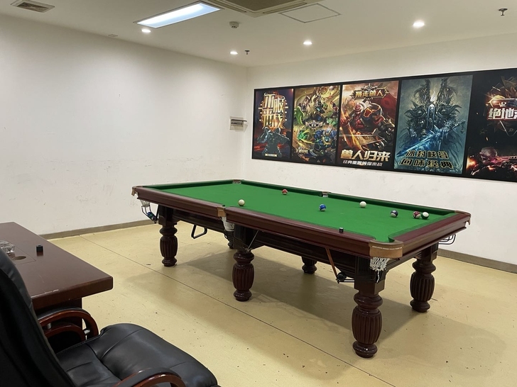 台球桌标准成人台球案家用美式黑8桌球台乒乓...