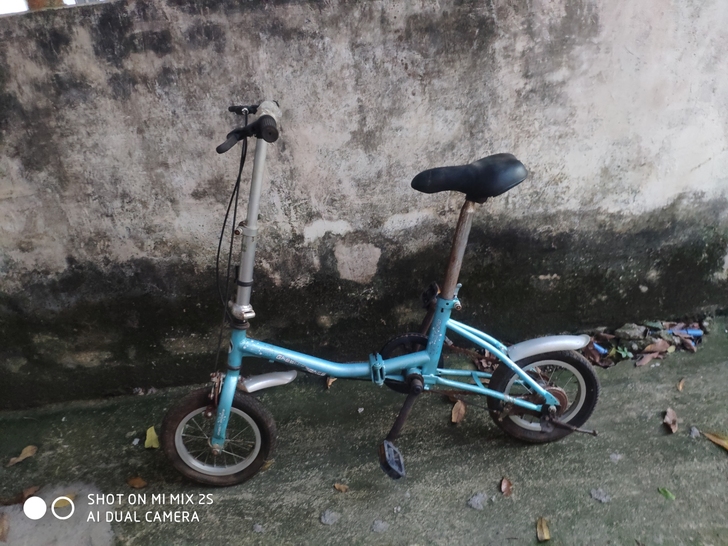 迷你折叠自行车，10寸左右轮子，放久了，内...