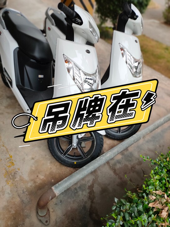 新大洲本田H1电动车