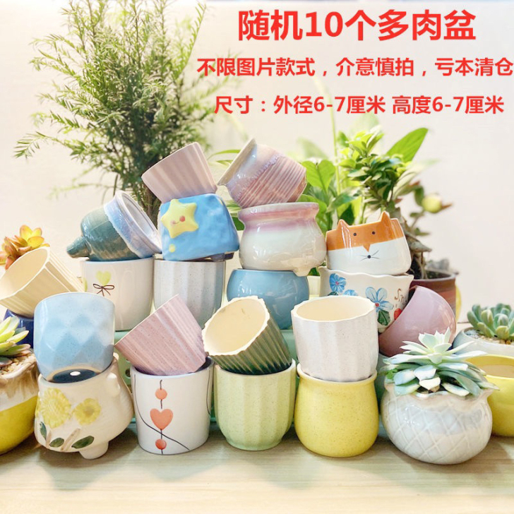 厂家特价清仓 随机10个10.99元 素烧...