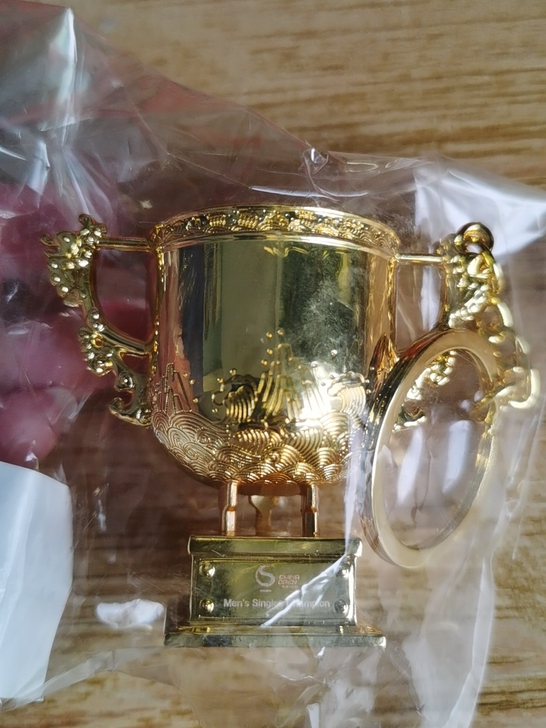 中网纪念品 网球钥匙链 小礼物 全新 转给...