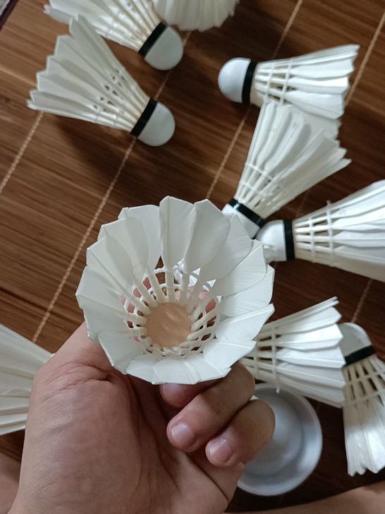 1羽毛球代工厂 无标羽毛球训练球  全新羽...