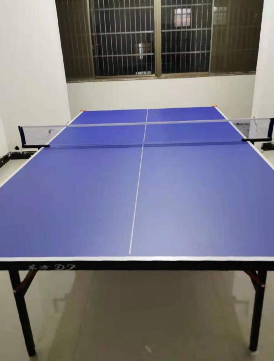 全新的包邮价！国标尺寸！乒乓球桌球台成人室...