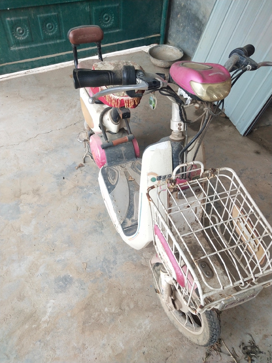 速派奇电动车 ，4820电瓶 ，同城自堤。