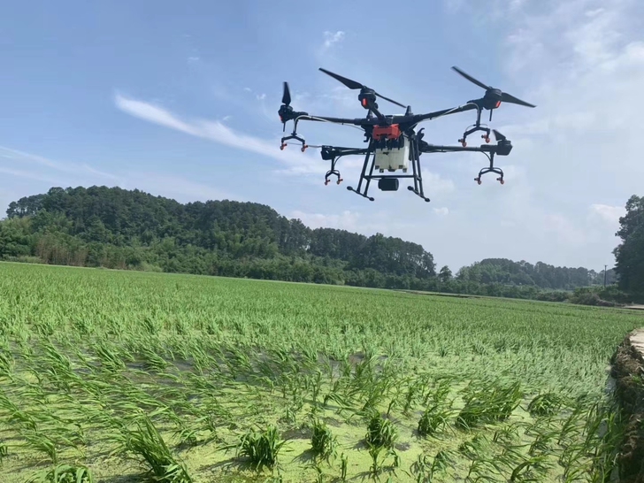 无人机植保服务，无人机打药服务。果树，水稻...