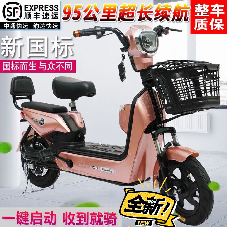 (全新)新到店 新国标电动自行车车电瓶车4...