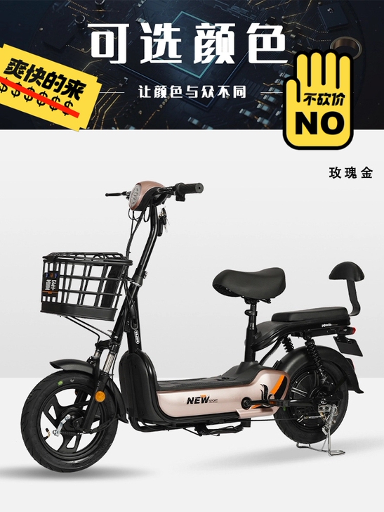 国标48v20Ah锂电电动车 电动自行车，...
