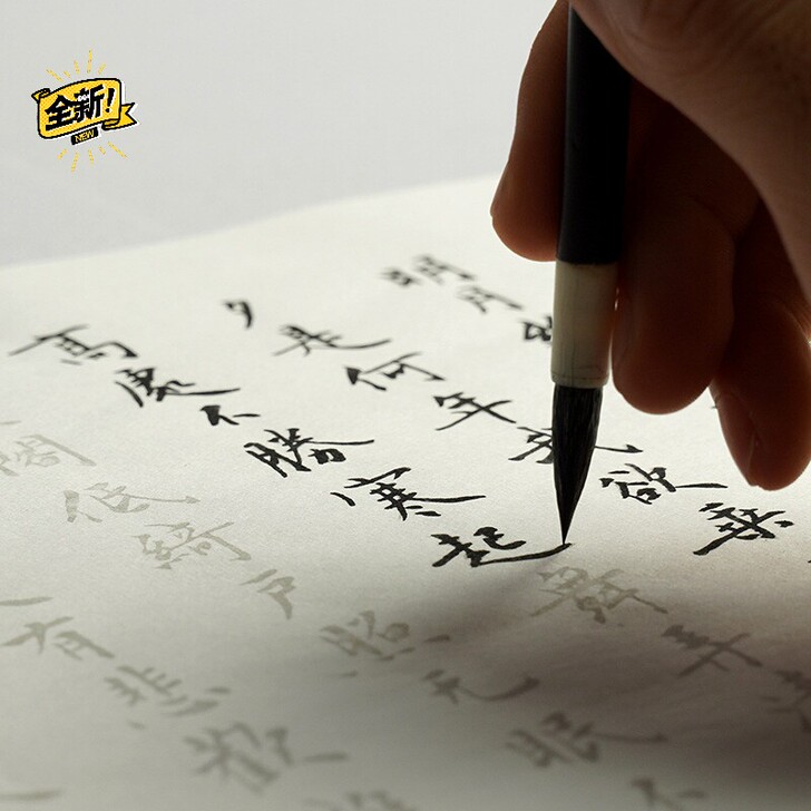 【直销包邮】初学者心经描红纸小楷书法成人临...