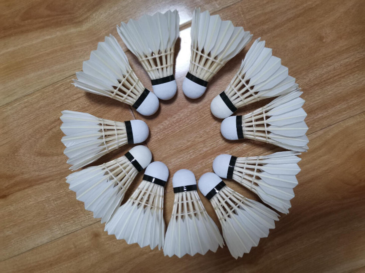 全新维胜 羽毛球12支装一筒 耐打羽毛球白...