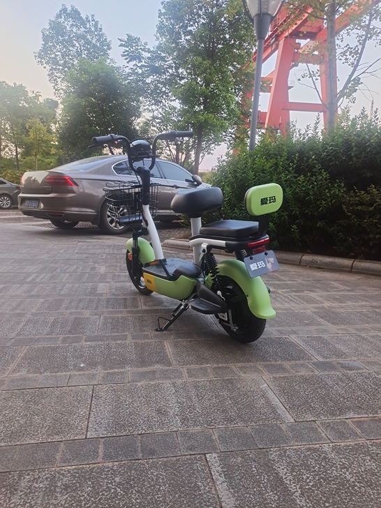 全新爱玛电动车!发票证件齐全!国标,转让自...