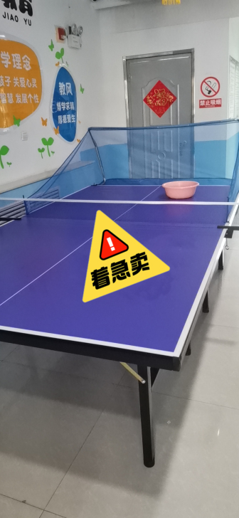 乒乓球桌带球网，带30个乒乓球