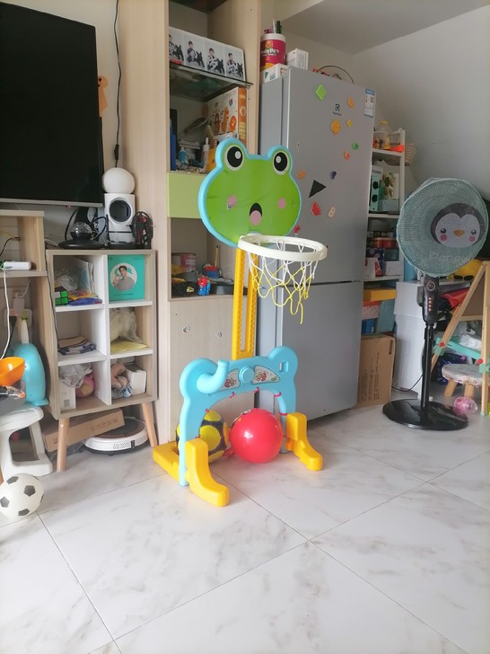 篮球架 篮筐 儿童篮架 大亚湾澳头红树林附...