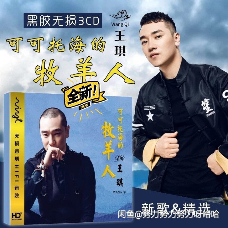 正版王琪cd专辑可可托海的牧羊人车载cd碟...