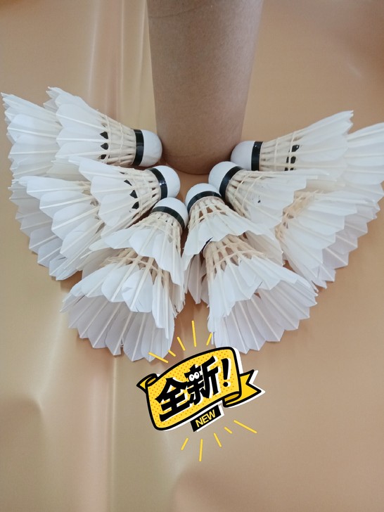 训练羽毛球，无标训练羽毛球，12只一桶