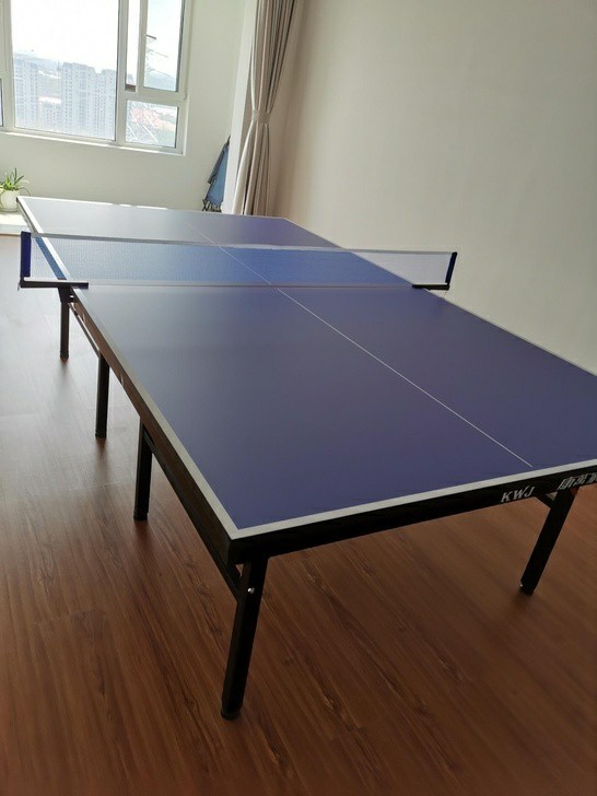可折叠！国标尺寸！乒乓球桌球台成人室内标准...