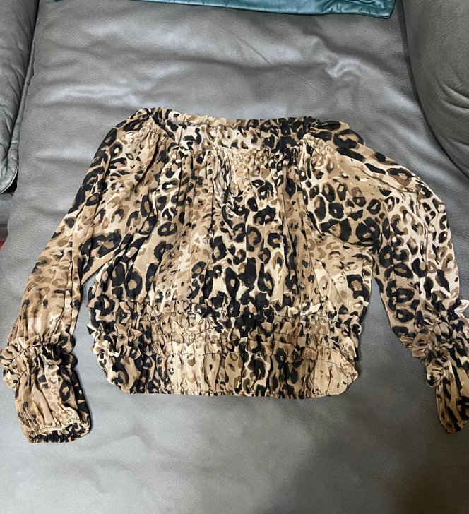 女士雪纺衫 尺码为M码