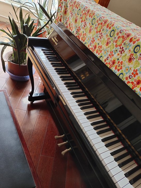 诺的斯卡钢琴，1995年买入，静心呵护，不...